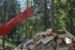 Vedmaskin Hakki Pilke Raven 33