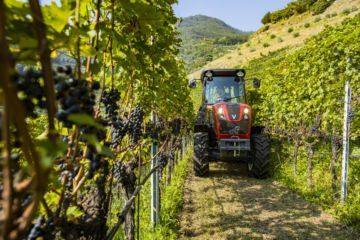 valtra-f-series-italy-wine-yard-img-2019-hires-tif-0429_165143 Valtra F-serie