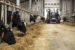 Valtra G-serie