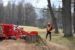 Stubbefreser D74 belter FSI