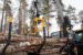 Tømmerhenger 124H | HD Kesla