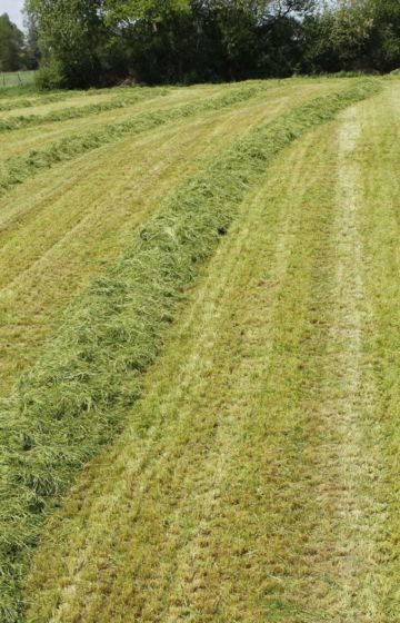 Samlerive slep GA 6501 / GA 7501+ Kuhn