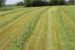 Samlerive slep GA 6501 / GA 7501+ Kuhn