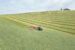 TOP_VT_12540