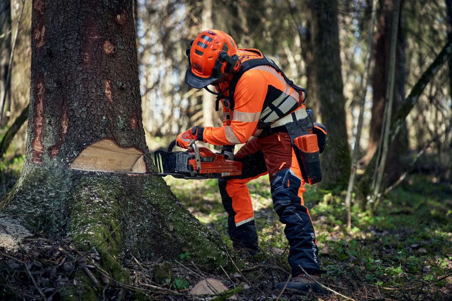 Husqvarna Motorsag – pålitelighet og tilgjengelighet i verdensklasse Husqvarna motorsag – robust, pålitelig og støttet av 25 000 forhandlere verden overHusqvarna motorsag – robust, pålitelig og støttet av 25 000 forhandlere verden over