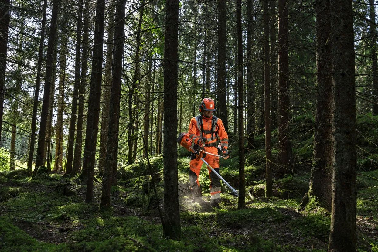 tr-057450 Slik velger du riktig skogsryddesagSlik velger du riktig skogsryddesag