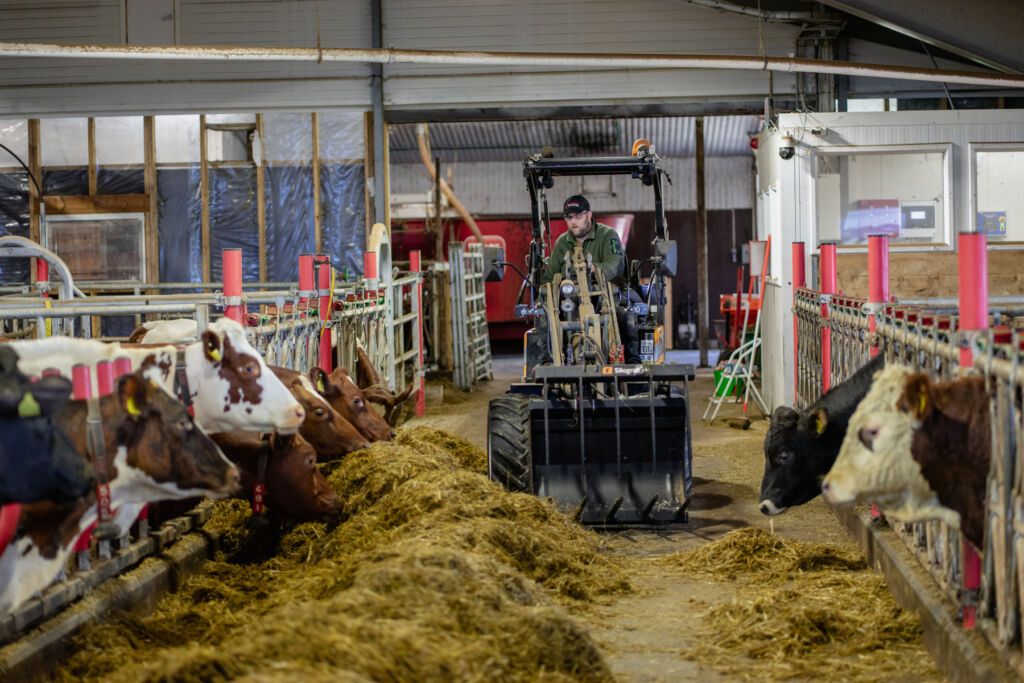 Da den gamle minilasteren til Erland Enger havarerte rett før jul, ble det raskt klart hvor viktig den var i den daglige fjøsdriften. Løsningen ble en Giant G2300 HD fra Akershus Traktor på Hamar.